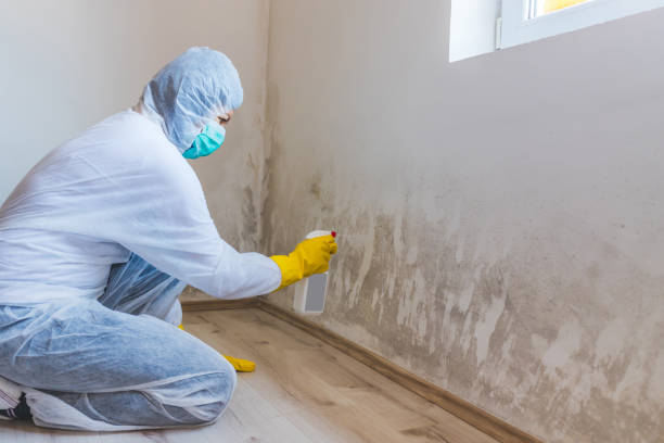 Licensed Crawl Space Mold Removal service in Henderson, NC - WQB Mold Removal