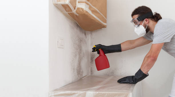 Professional Crawl Space Mold Removal technician working in Henderson, NC
