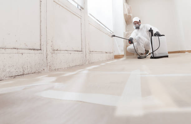 24/7 Emergency Crawl Space Mold Removal experts in Henderson, NC