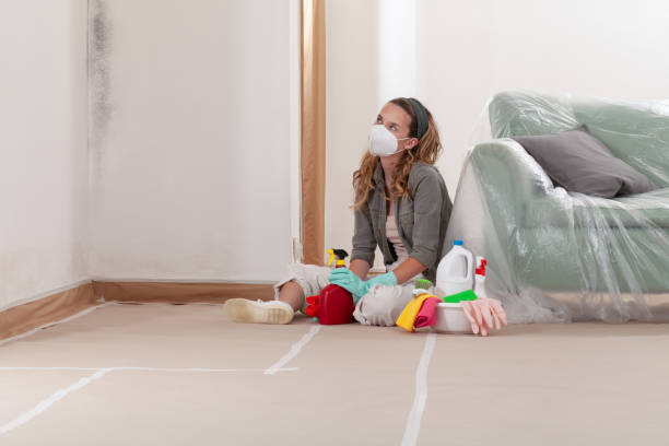 Reliable Crawl Space Mold Removal contractor in Henderson, NC by WQB Mold Removal